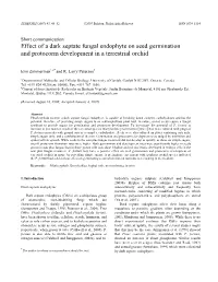 Effect of a Dark Septate Fungal Endophyte on Seed Germination and Protocorm Development in a Terrestrial Orchid