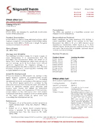 EPHA4 Sirna Set I EPHA4 Sirna Set I