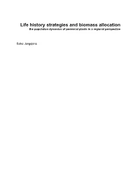 Life History Strategies and Biomass Allocation : the Population Dynamics of Perennial Plants in a Regional Perspective