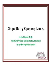 Grape Berry Ripening Issues