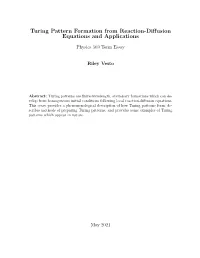 Turing Pattern Formation from Reaction-Diffusion Equations And