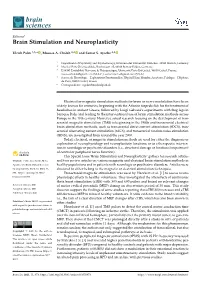 Brain Stimulation and Neuroplasticity