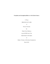 Preignition and Autoignition Behavior of the Xylene Isomers