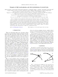 Dynamics of Tidal Synchronization and Orbit Circularization of Celestial Bodies
