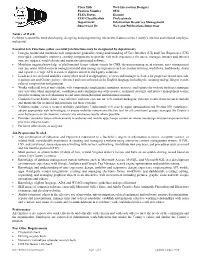 Web Interaction Designer