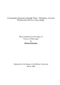 Community Structure Through Time: `Ubeidiya, a Lower Pleistocene Site As a Case Study