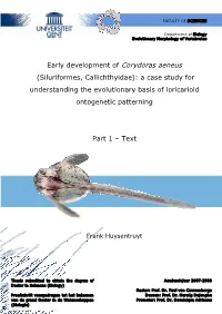 Early Development of Corydoras Aeneus (Siluriformes, Callichthyidae): a Case Study for Understanding the Evolutionary Basis of Loricarioid Ontogenetic Patterning