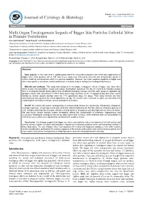 Multi-Organ Teratogenesis Sequels of Bigger Size Particles Colloidal