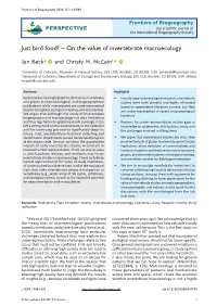 On the Value of Invertebrate Macroecology
