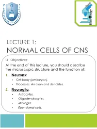 LECTURE 1: NORMAL CELLS of CNS Q Objectives: at the End of This Lecture, You Should Describe the Microscopic Structure and the Function Of: 1