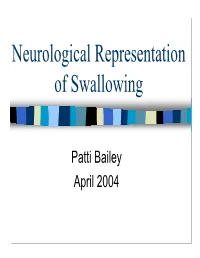 Neurological Representation of Swallowing