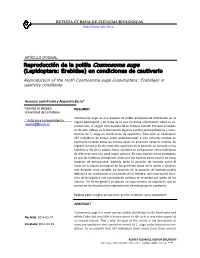 Lepidoptera: Erebidae) En Condiciones De Cautiverio