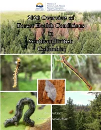 Prepared By: Lorraine Maclauchlan, Ph.D., R.P.F., Forest Entomologist (Kamloops)