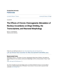The Effects of Chronic Chemogenetic Stimulation of Nucleus Accumbens on Binge Drinking, the Transcriptome, and Neuronal Morphology