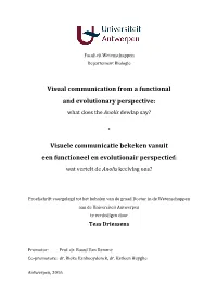 Visual Communication from a Functional and Evolutionary Perspective: What Does the Anolis Dewlap Say?
