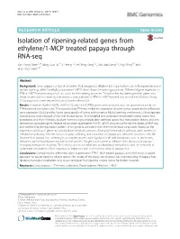 Isolation of Ripening-Related Genes from Ethylene/1