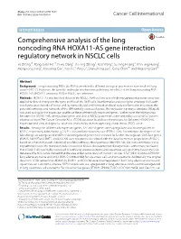 Comprehensive Analysis of the Long Noncoding RNA HOXA11-AS Gene