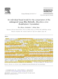 An Individual Based Model for the Conservation of the Endangered Large Blue Butterﬂy, Maculinea Arion (Lepidoptera: Lycaenidae)