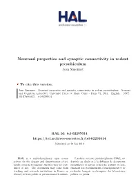 Neuronal Properties and Synaptic Connectivity in Rodent Presubiculum Jean Simonnet