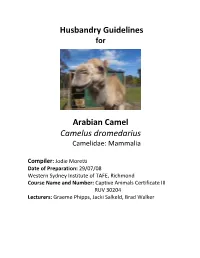 Husbandry Guidelines Arabian Camel Camelus Dromedarius