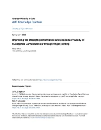 Improving the Strength Performance and Economic Viability of Eucalyptus Camaldulensis Through Finger Jointing