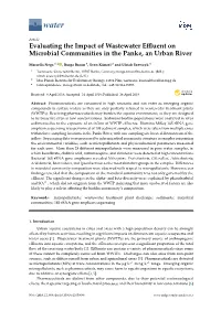 Evaluating the Impact of Wastewater Effluent on Microbial Communities in the Panke, an Urban River