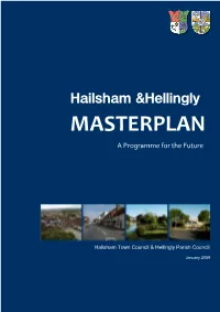MASTERPLAN a Programme for the Future