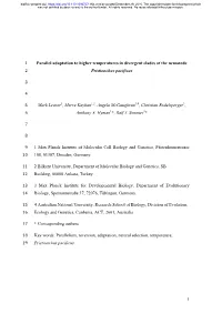 Parallel Adaptation to Higher Temperatures in Divergent Clades of the Nematode 2" Pristionchus Pacificus