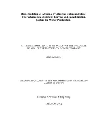 Biodegradation of Atrazine by Atrazine Chlorohydrolase: Characterization of Mutant Enzyme and Immobilization System for Water Purification