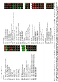 Complete List of Genes in Relevant Pathways Encoding Enzyme Or
