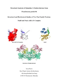 Structural Analysis of Quinoline 2-Oxidoreductase from Pseudomonas Putida 86