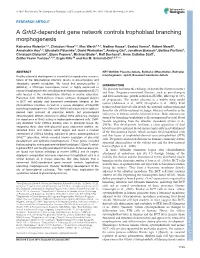 A Grhl2-Dependent Gene Network Controls Trophoblast Branching Morphogenesis
