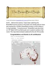Behind the Scenes, I Have Been Watching the Bowerbird Record