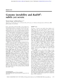 Genome Instability and Rad50s: Subtle Yet Severe