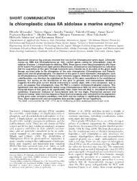 Is Chloroplastic Class IIA Aldolase a Marine Enzyme&Quest;