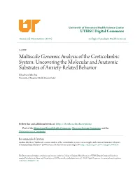 Multiscale Genomic Analysis of The