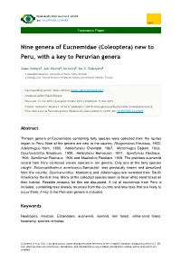 Nine Genera of Eucnemidae (Coleoptera) New to Peru, with a Key to Peruvian Genera