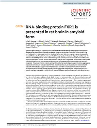RNA-Binding Protein FXR1 Is Presented in Rat Brain in Amyloid Form Julia V