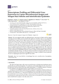 Transcriptome Profiling and Differential Gene Expression In