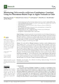 Using Sex Pheromone-Baited Traps in Apple Orchards in Chile