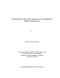 Examining the Role of the Insular Cortex in Addiction- Relevant Behaviours