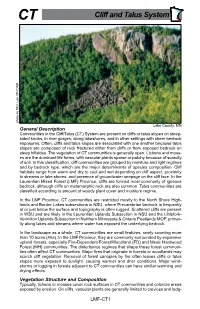 Laurentian Mixed Forest Province, Cliff/Talus System Summary