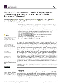 SARS-Cov-2 Infected Pediatric Cerebral Cortical Neurons: Transcriptomic Analysis and Potential Role of Toll-Like Receptors in Pathogenesis