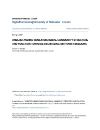 Understanding Rumen Microbial Community Structure and Function Towards Decreasing Methane Emissions