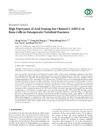 High Expression of Acid-Sensing Ion Channel 2 (ASIC2) in Bone Cells in Osteoporotic Vertebral Fractures