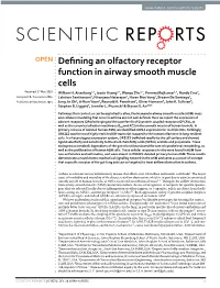 Defining an Olfactory Receptor Function in Airway Smooth Muscle Cells Received: 27 May 2016 William H