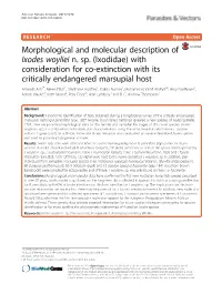 Morphological and Molecular Description of Ixodes Woyliei N. Sp