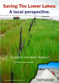 Saving the Lower Lakes: a Local Perspective