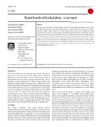 Variant Branches of Brachial Plexus - a Case Report