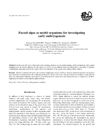 Fucoid Algae As Model Organisms for Investigating Early Embryogenesis